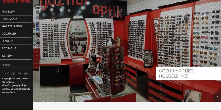 Göznur Optik Web Sitesi Tasarımı